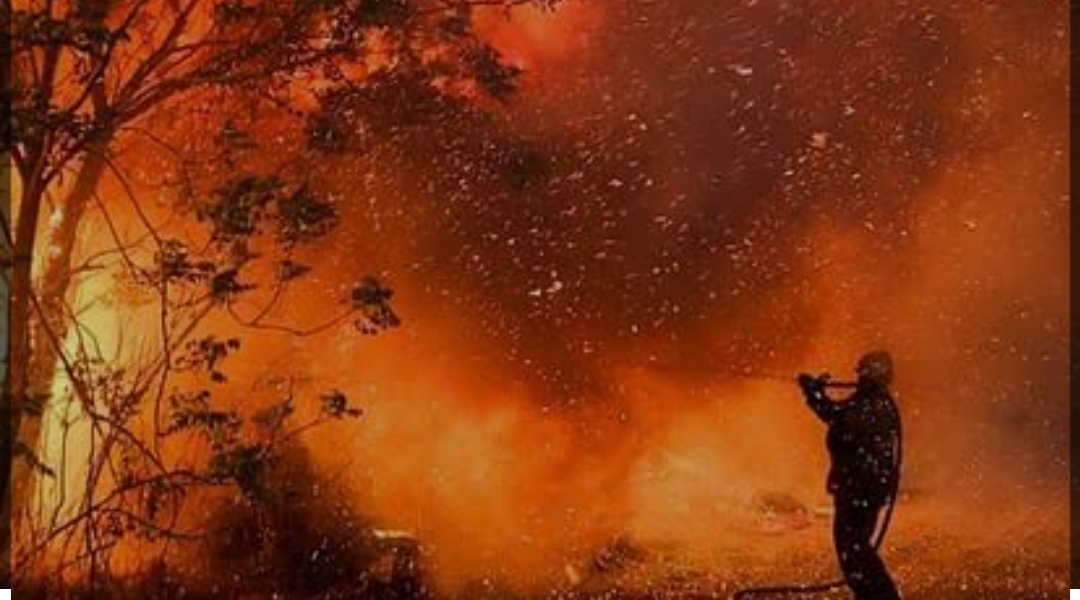 उत्तराखंड : जंगल की आग बुझाने गया युवक जलकर मरा, 3 महिलाएं जलीं