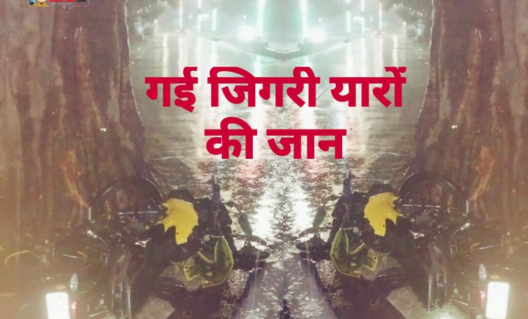 आधी रात गई जिगरी यारों की जान, हल्द्वानी में पीपल के पेड़ से टकराई बाइक