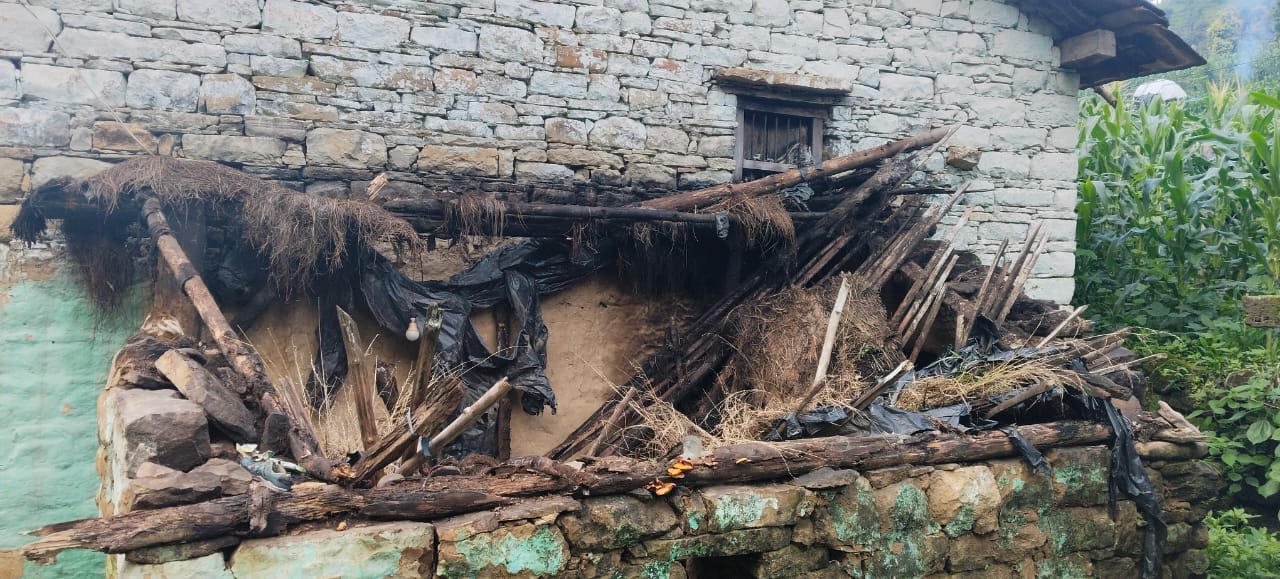 बारिश में भी स्युड़ा के शेर सिंह सम्मल को झोपड़ी।