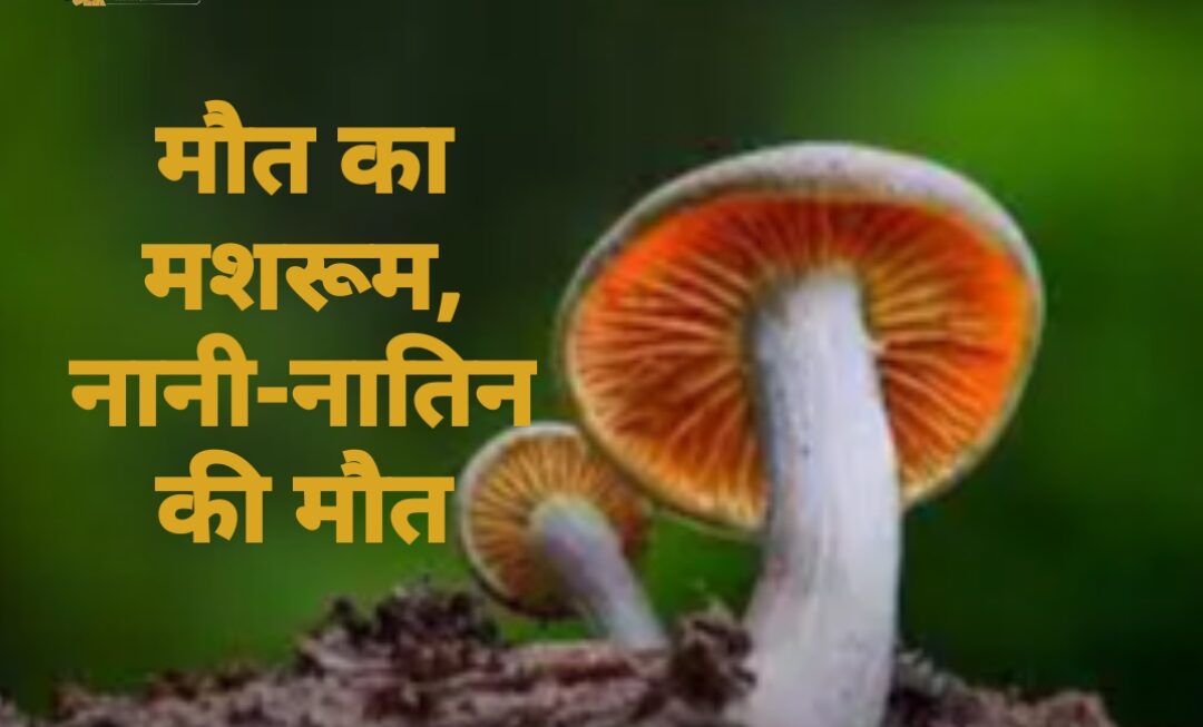 मुनस्यारी में जंगली मशरूम खाने से नानी और नातिन की मौत