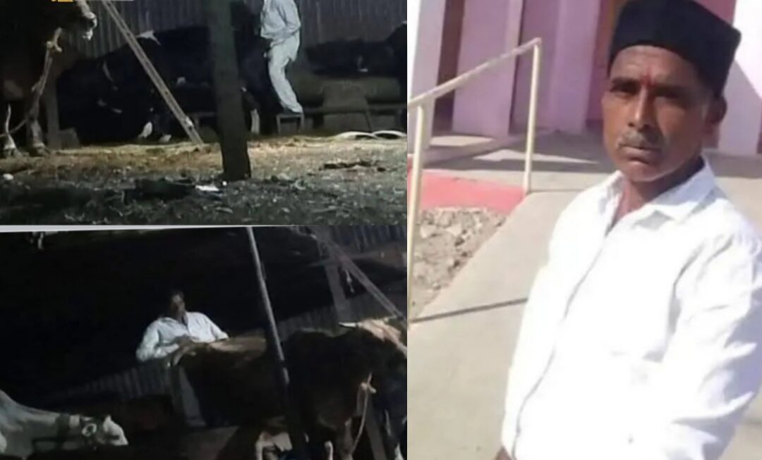 जिस गाय को मां कहा उसी से दुष्कर्म किया, सफेदपोश दुष्कर्मी का वीडियो वायरल