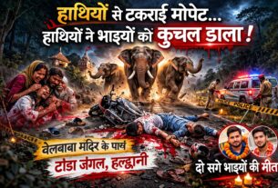 हाथियों से टकराई मोपेट, हाथियों ने भाइयों को कुचल डाला