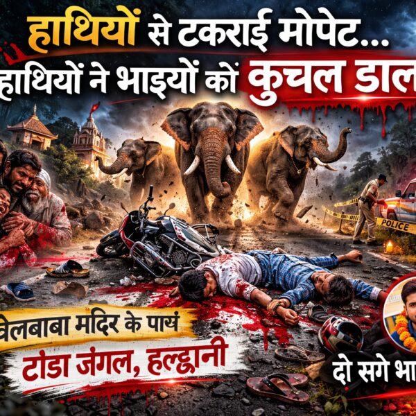 हाथियों से टकराई मोपेट, हाथियों ने भाइयों को कुचल डाला
