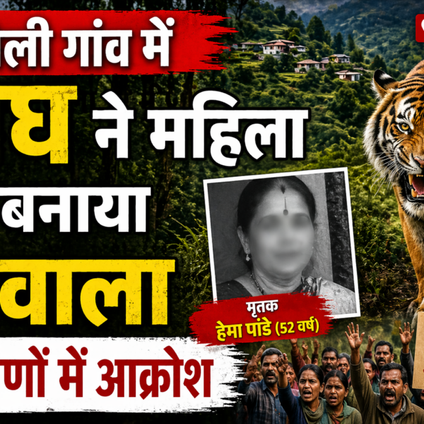 ज्योली गांव में बाघ ने महिला को मारा, छत-विक्षत हालत में मिला शव