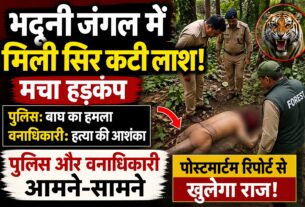 भदूनी के जंगल में मिली सिर कटी लाश, पुलिस और वनाधिकारी आमने-सामने