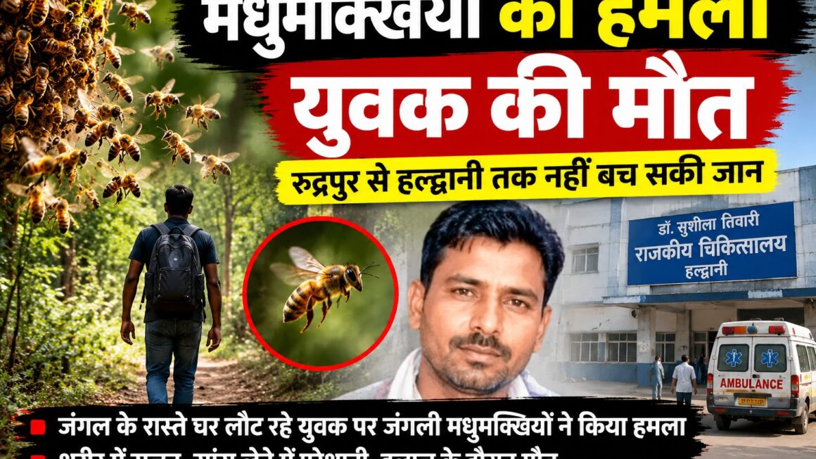 जंगली मधुमक्खियों के हमले में युवक की मौत।