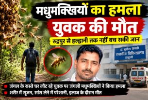 जंगल में मौत बनकर टूटा मधुमक्खियों का झुंड, युवक की मौत