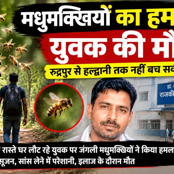 जंगल में मौत बनकर टूटा मधुमक्खियों का झुंड, युवक की मौत