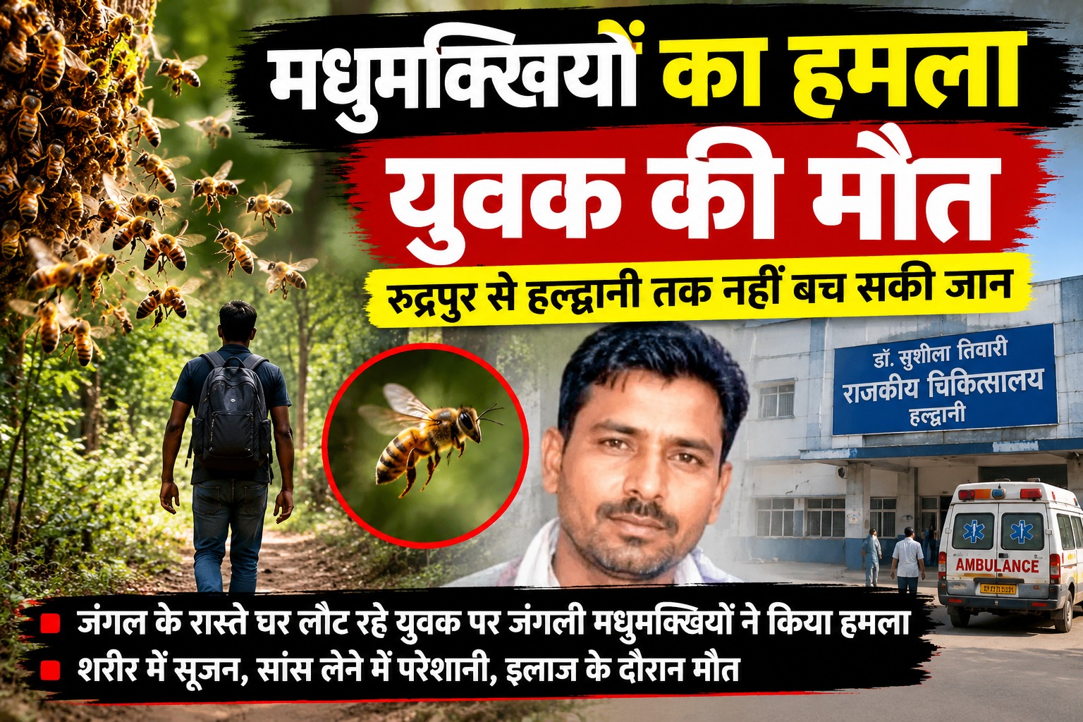 जंगली मधुमक्खियों के हमले में युवक की मौत।