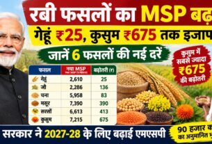 गेहूं का एमएसपी ₹25 और दलहन-तिलहन के समर्थन मूल्य में 675 रुपये तक बढ़ोत्तरी