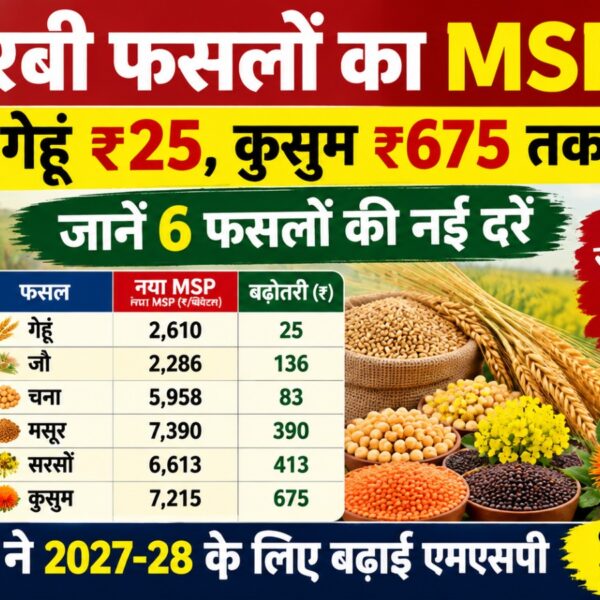 गेहूं का एमएसपी ₹25 और दलहन-तिलहन के समर्थन मूल्य में 675 रुपये तक बढ़ोत्तरी
